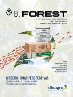 B.Forest  Edição 79 by Malinovski - Issuu