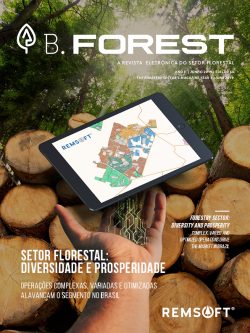 B.Forest  Edição 79 by Malinovski - Issuu